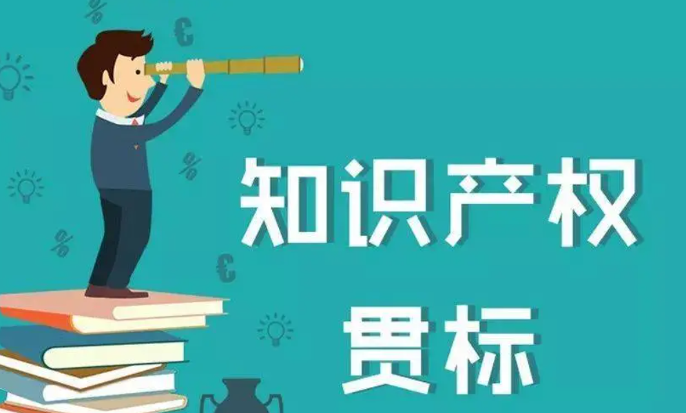 知識產權貫標流程包括什么-海南知識產權-錢生錢財務咨詢